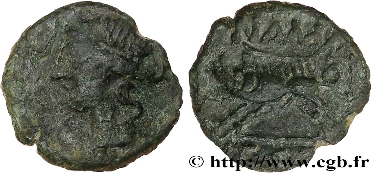 NEMAUSUS - NÎMES Bronze au sanglier NAMA SAT TTB