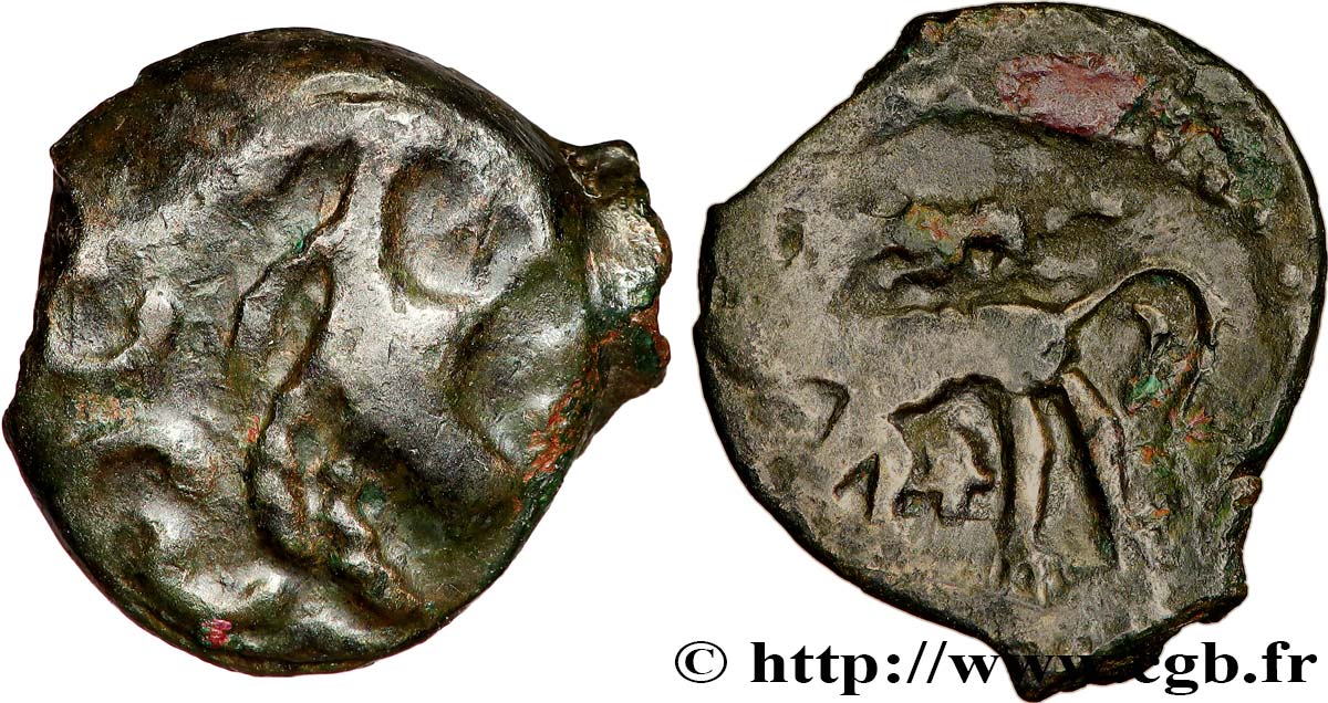 CARNUTES (Région de la Beauce) Bronze au loup, tête à droite TTB