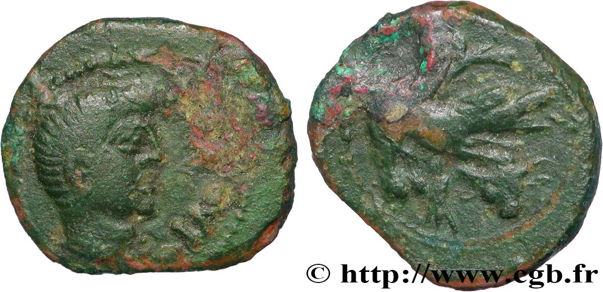 SANTONS / CENTRE-OUEST, Incertaines Bronze CONTOVTOS (quadrans) TB+