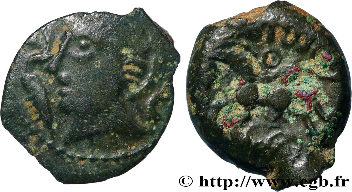 GALLIA BELGICA PAGUS CATUSLUGI - Sanctuary of BOIS L ABBÉ (Seine-Maritime) Bronze VIIRICIVS, classe I XF