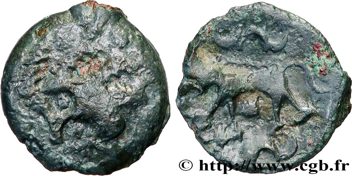 GALLIA - CARNUTES (Beauce area) Bronze au loup, tête à gauche VF