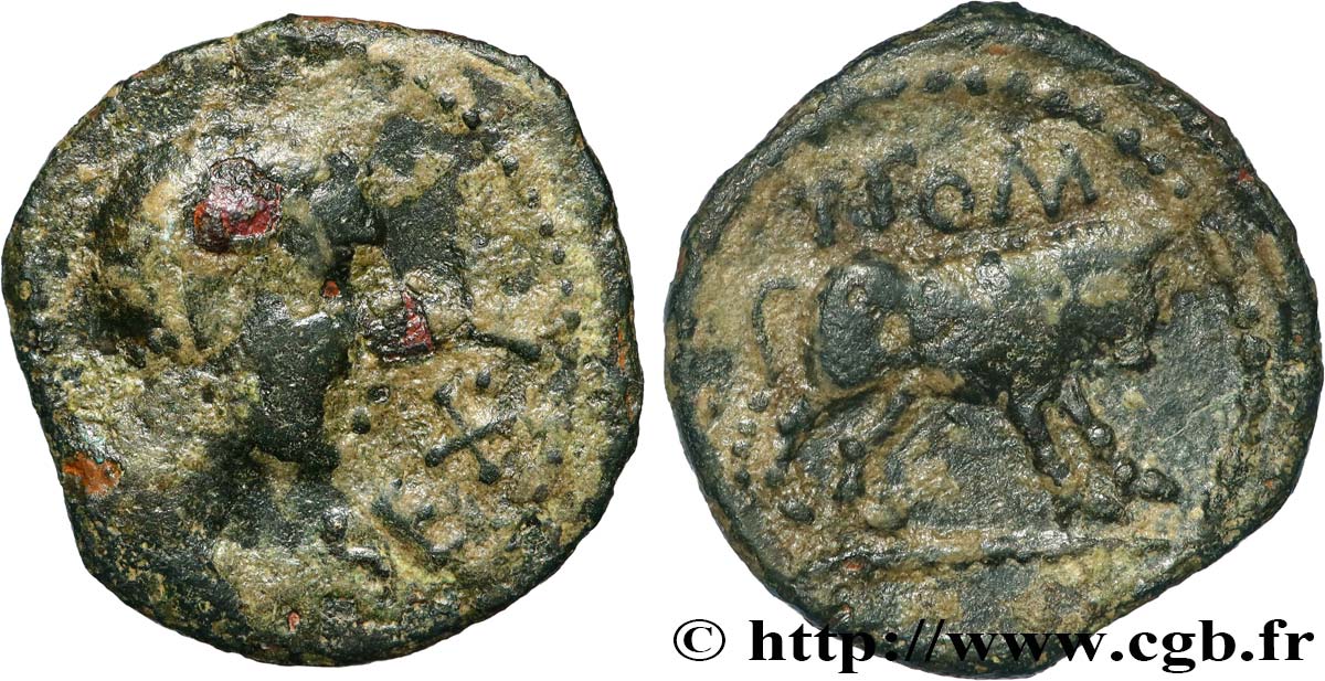 CAVARII (Regione di Avignon eOrange) Bronze au taureau T.POM / SEX.F q.BB/BB