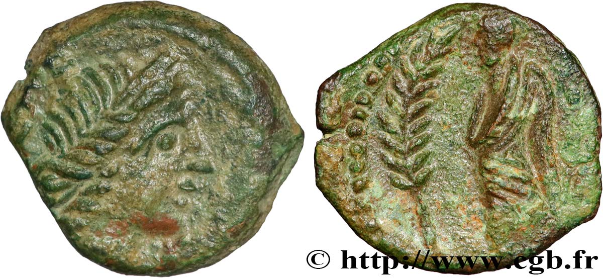 VOLQUES ARÉCOMIQUES (région de Nîmes) Bronze au Démos, VOLCAE AREC TTB+/TTB