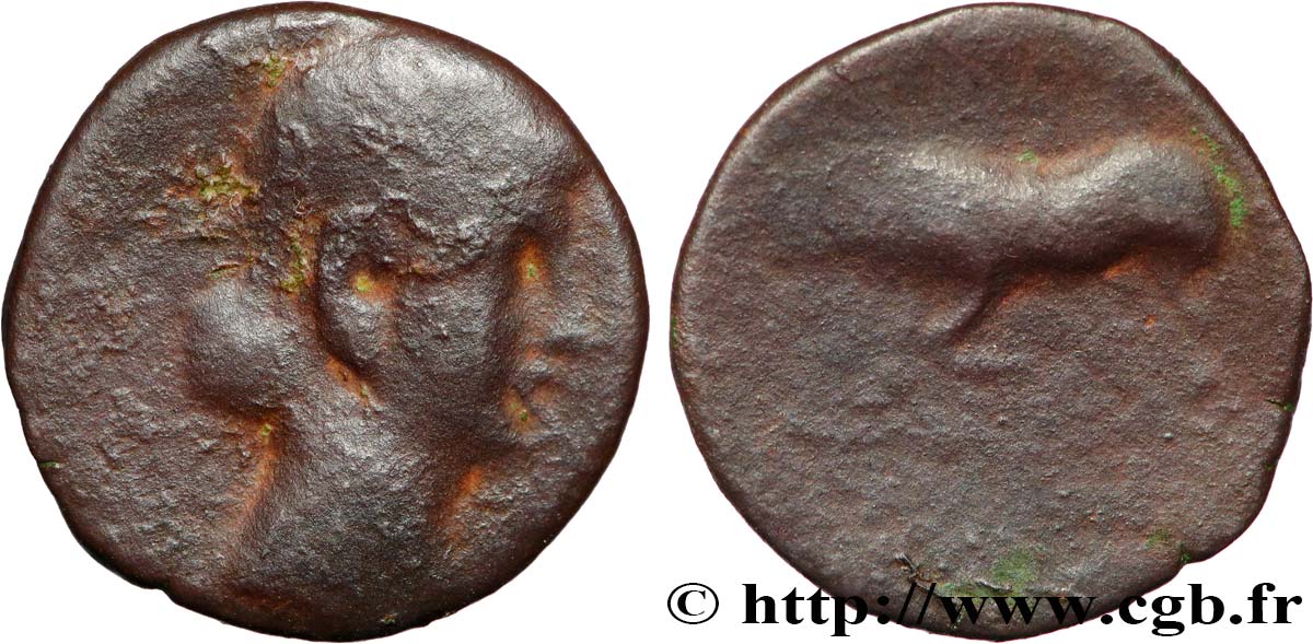 GALLIA BELGICA - REMI (Región de Reims) Bronze GERMANVS INDVTILLI au taureau (Quadrans) BC+/BC