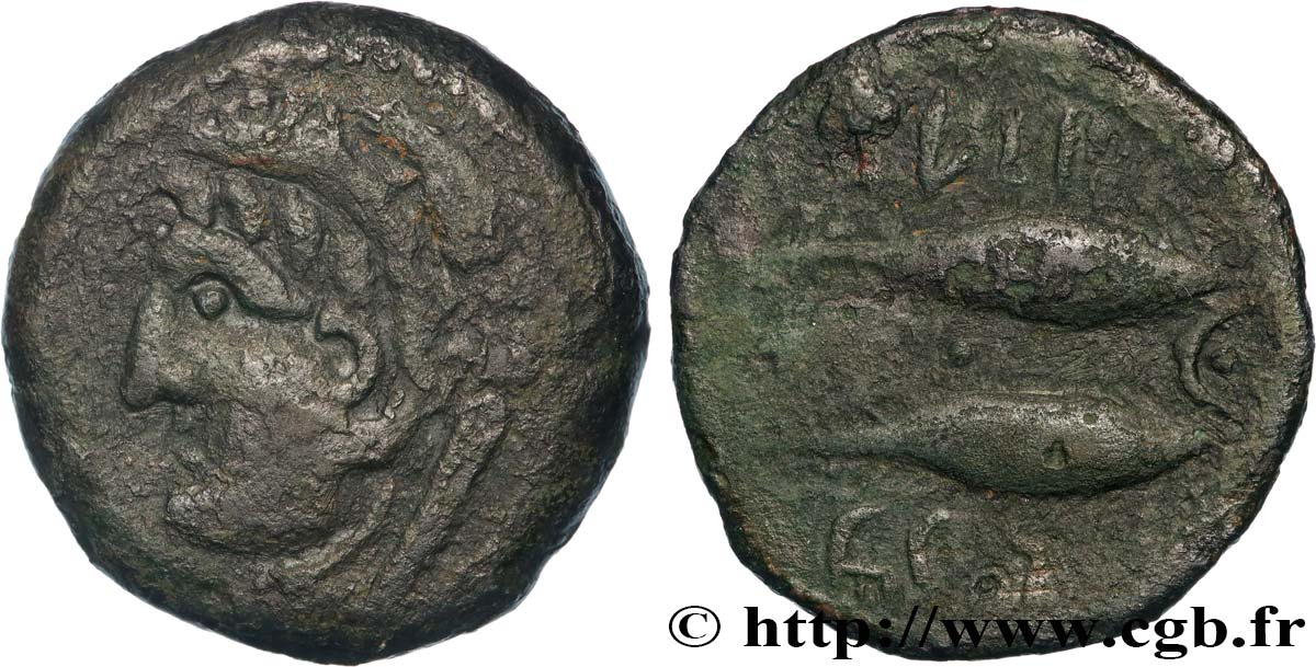 HISPANIA - GADIR/GADES (Provincia of Cadiz) Calque de bronze à la tête de Melqart et aux poissons BC+