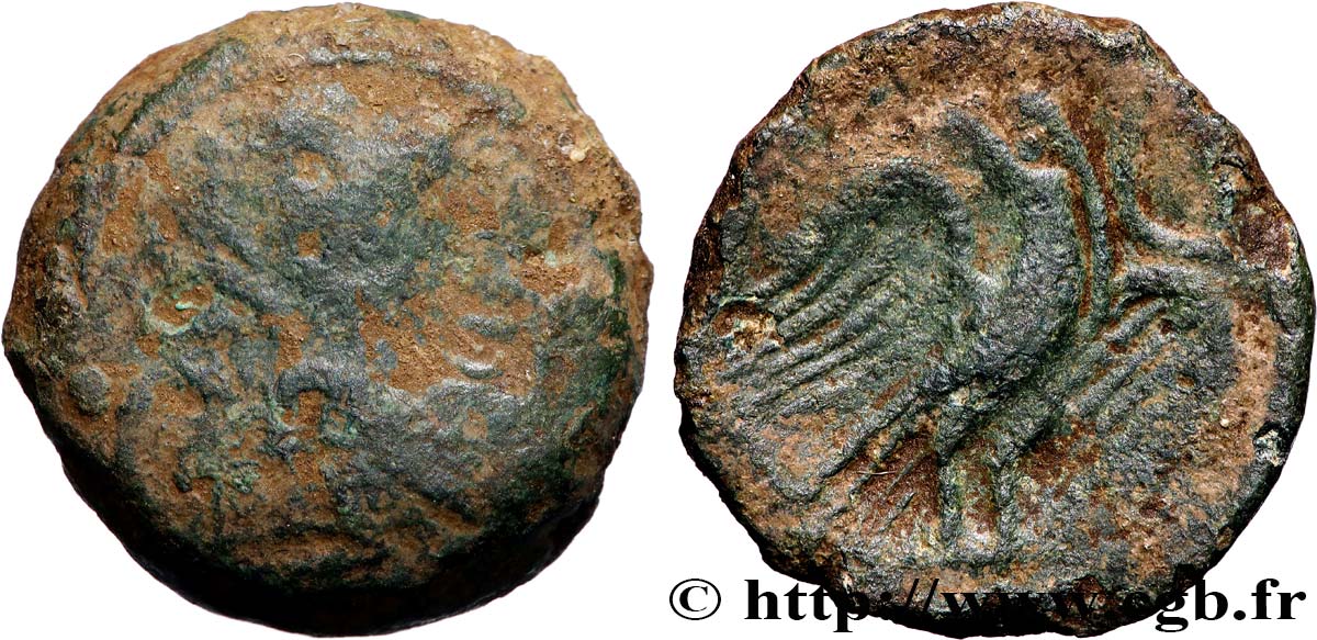 GALLIA - CARNUTES (Regione della Beauce) Bronze lourd à l’aigle et au croissant q.B/q.BB
