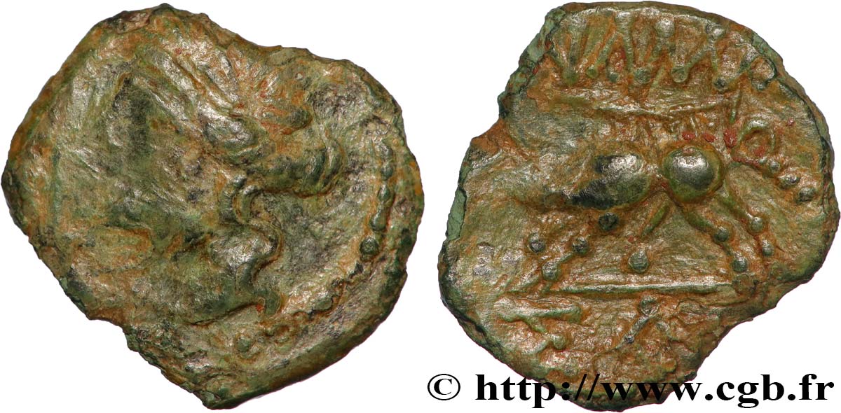 NEMAUSUS - NÎMES Bronze au sanglier NAMA SAT VF/XF
