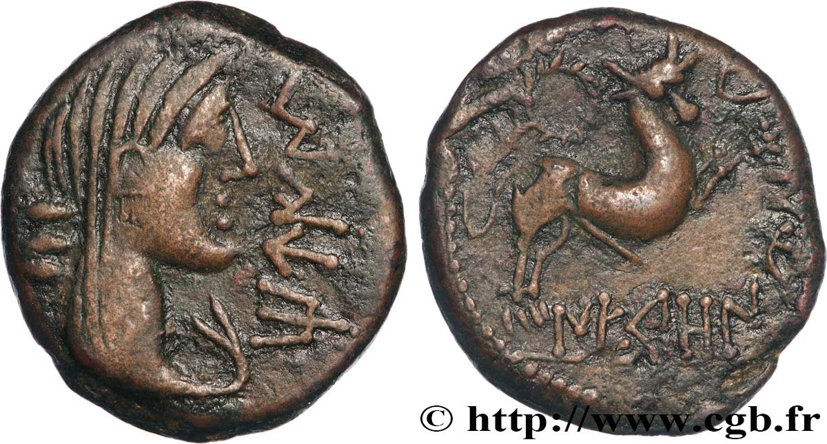 GALLIA - NEDENES (oppidum of Montlaures) Unité ou bronze au taureau XF