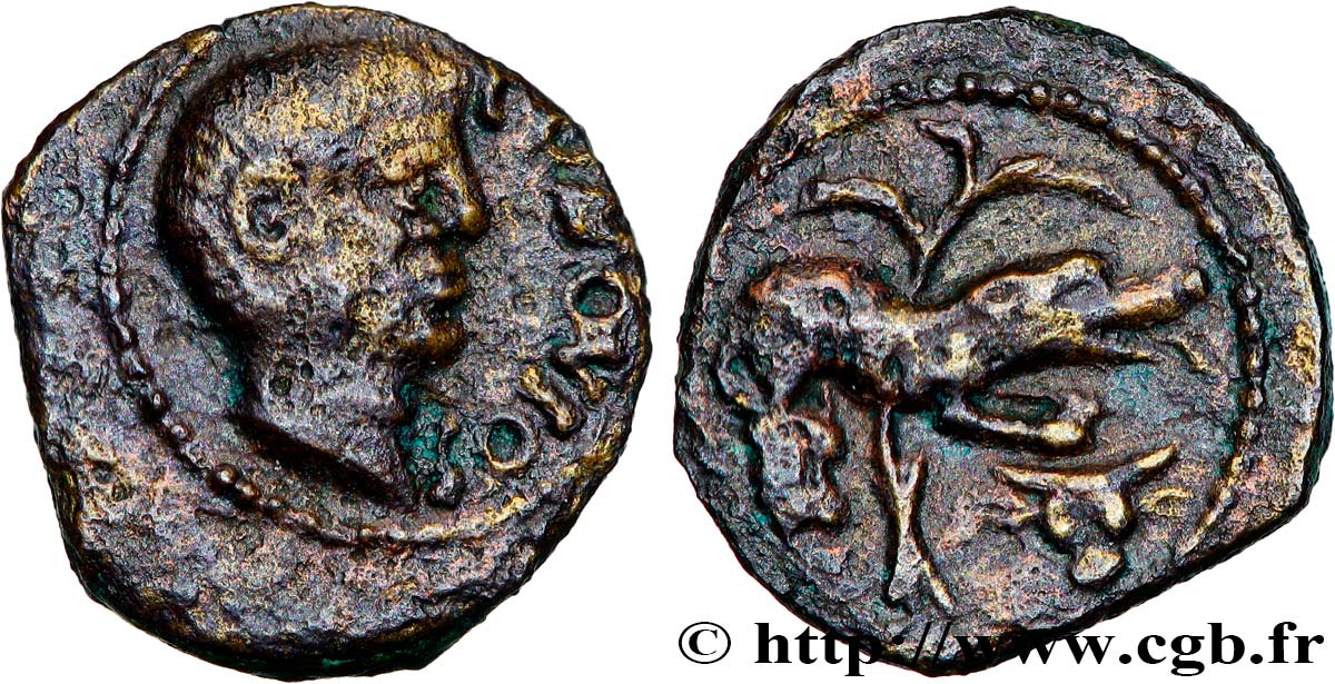 GALLIA - SANTONES / MID-WESTERN, Unspecified Bronze CONTOVTOS (quadrans) XF