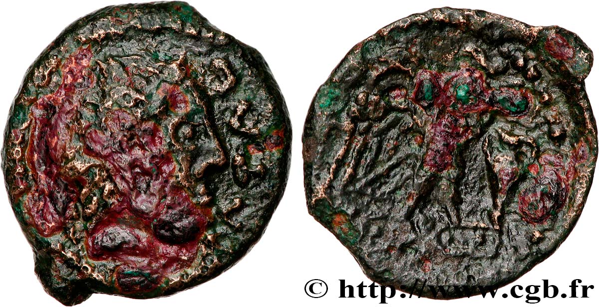 GALLIA - CARNUTES (Región de la Beauce) Bronze CATAL à l’aigle et à l’amphore BC+