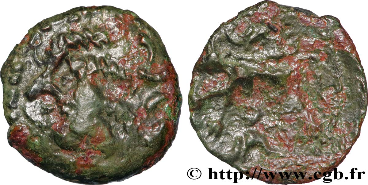 CARNUTES (Région de la Beauce) Bronze au loup, tête à gauche TB+/B