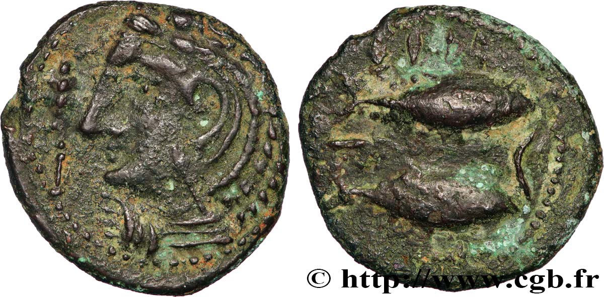 ESPAGNE - GADIR/GADES (Provincia of Cadiz) Unité de bronze à la tête de Melqart et aux poissons XF/VF