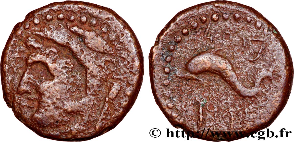 HISPANIA - GADIR/GADES (Provincia of Cadiz) Quadrans de bronze à la tête de Melqart et au dauphin BC+/MBC