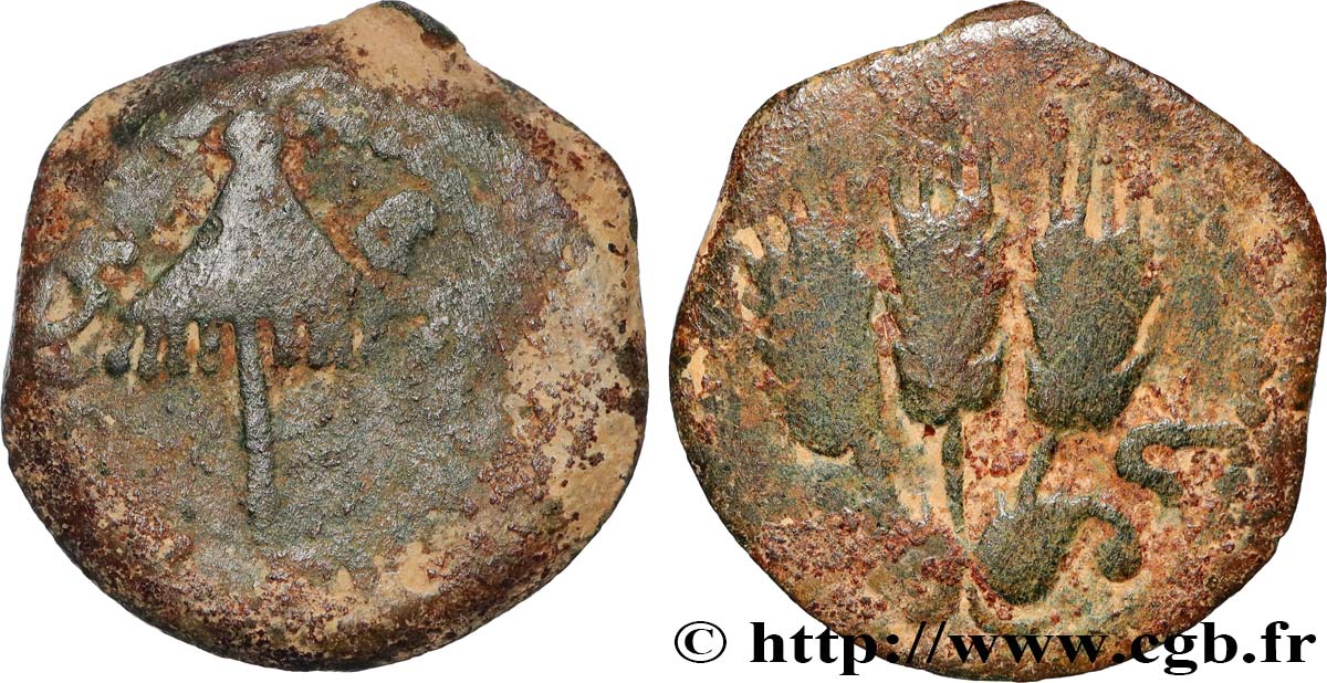 JUDAEA - HERODIAN KINGDOM - AGRIPPA I Prutah VF