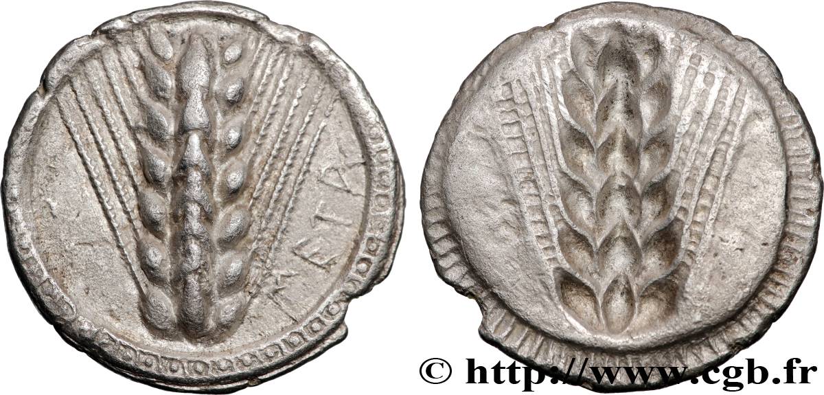 LUCANIA - METAPONTION Nomos, statère ou didrachme XF
