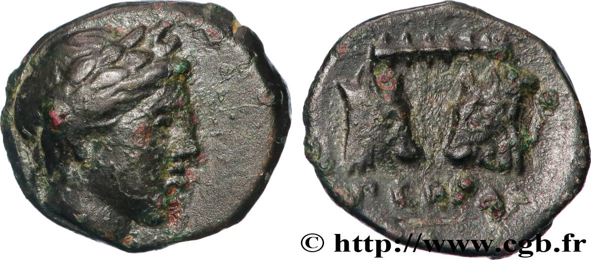 MYSIEN - PERGAMON Unité SS