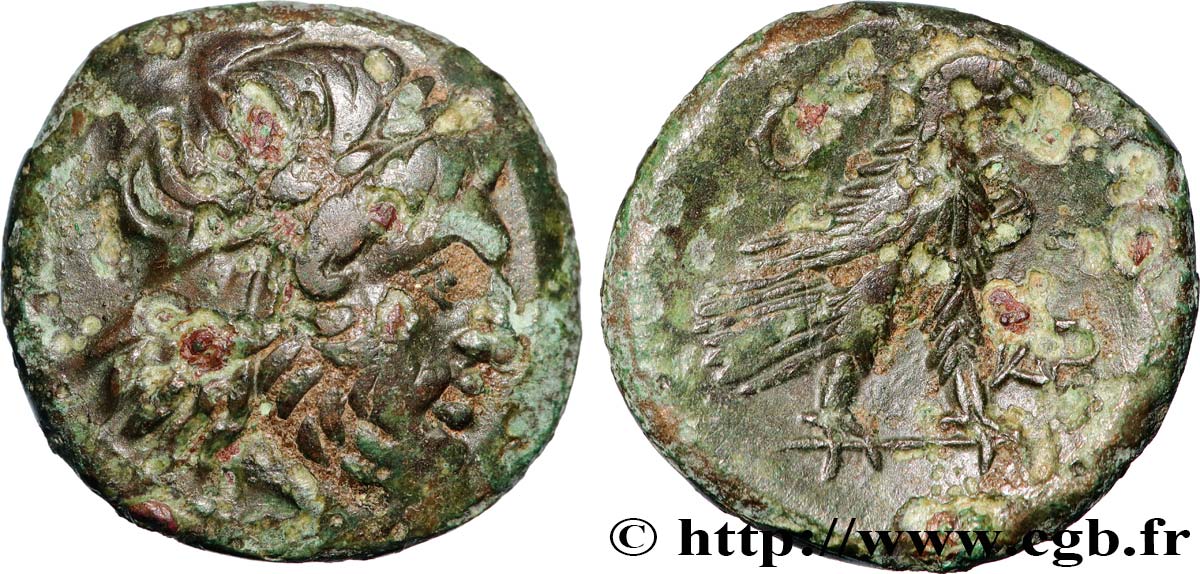 MACÉDOINE - PAROREIA  Bronze  XF