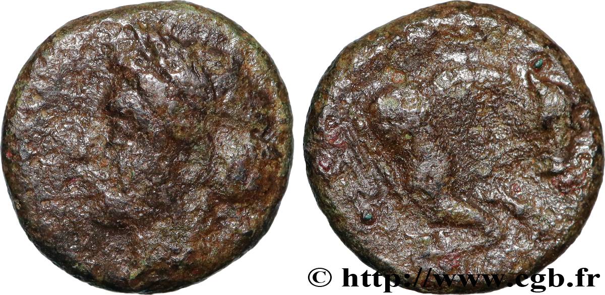 JONIA - MAGNESIA DE MEANDRO Unité MBC/BC+