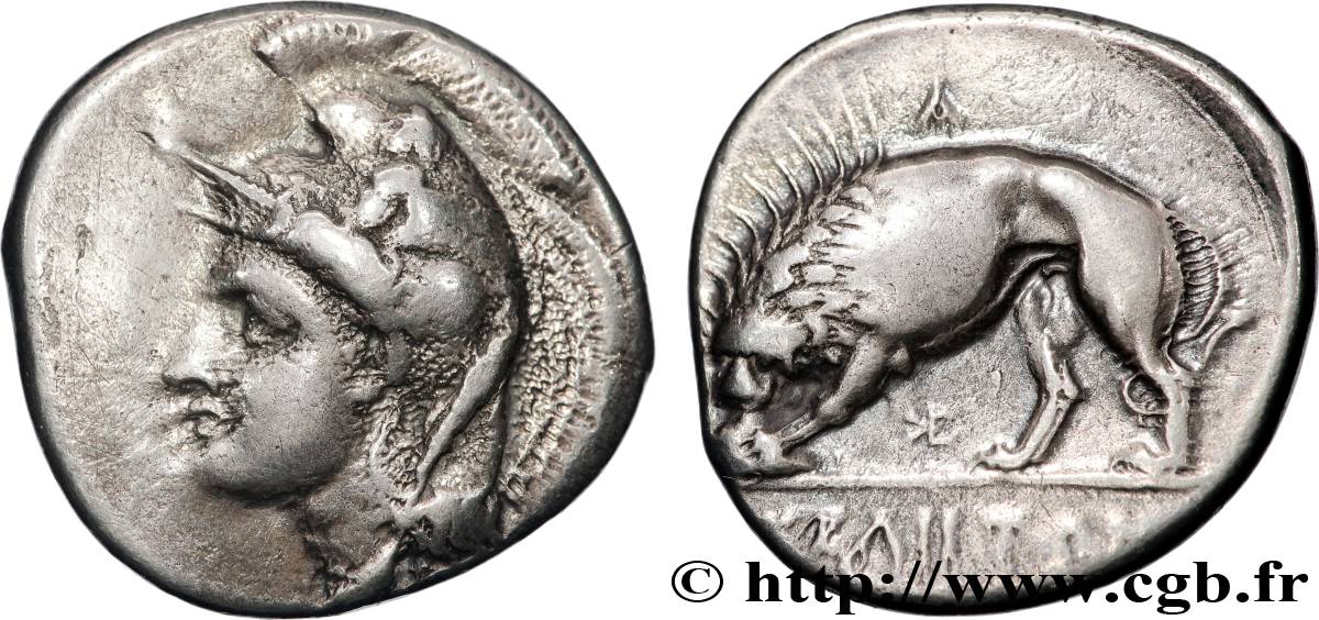 LUCANIA - VELIA Nomos, statère ou didrachme XF/AU
