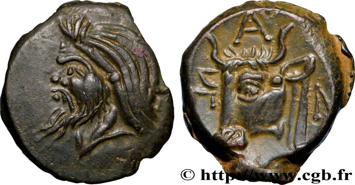 TAURIC CHERCHONESE - PANTICAPEA Bronze AU