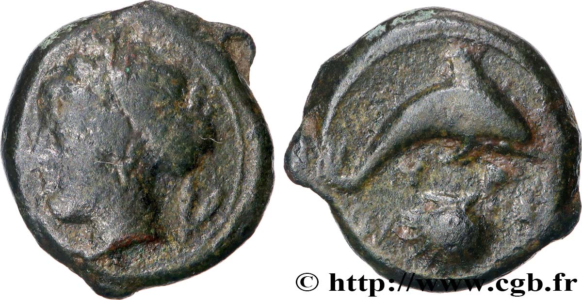 SICILE - SYRACUSE  Hemilitron TB+