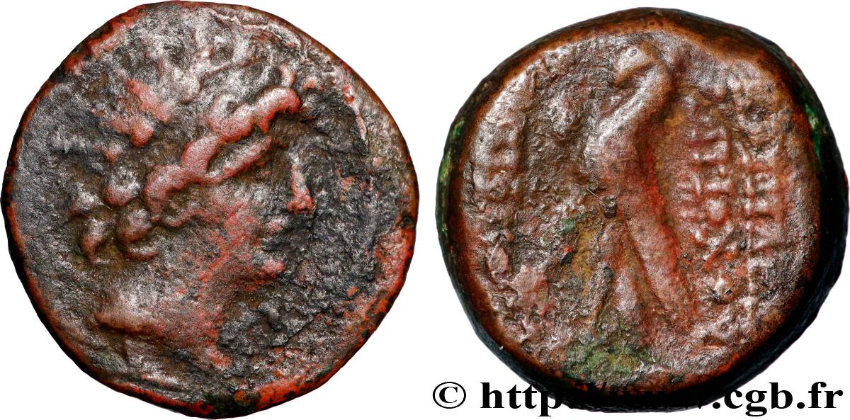 SYRIE - ROYAUME SÉLEUCIDE - ANTIOCHUS VIII GRYPUS Unité TB+