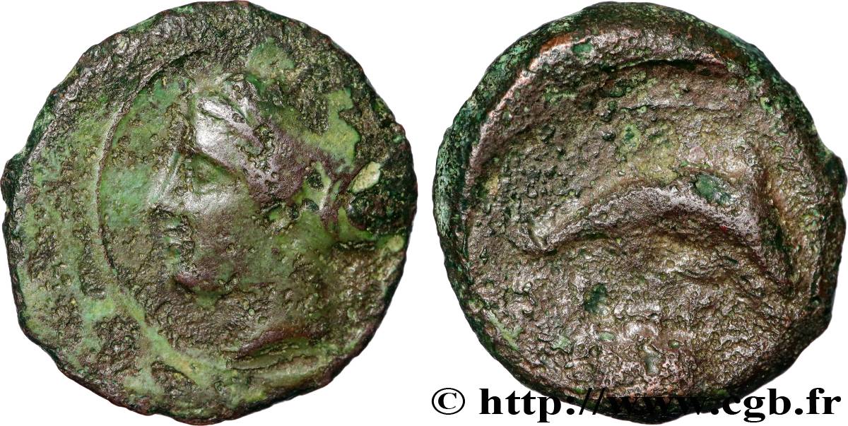 SICILE - SYRACUSE  Hemilitron TB+