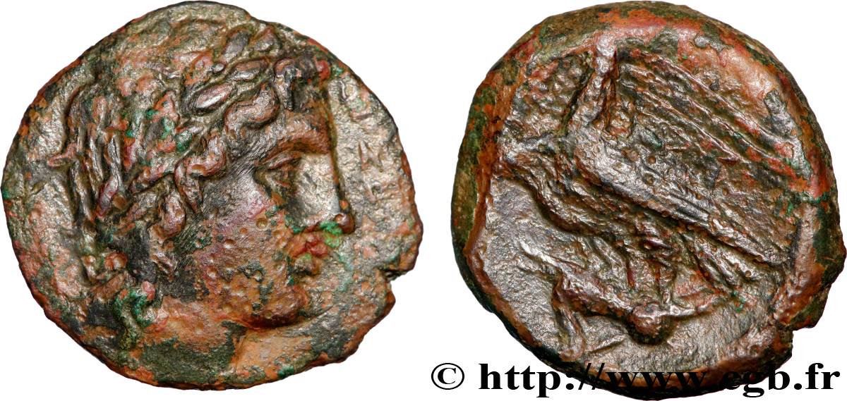 SICILIA - AGRIGENTO Hemilitron MBC/BC+