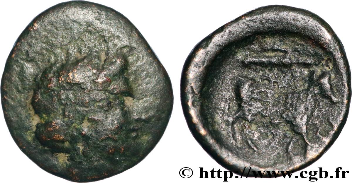 CAMPANIA - NEAPOLIS Demi-unité VF