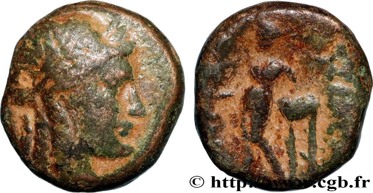 SYRIE - ROYAUME SÉLEUCIDE - ANTIOCHUS III LE GRAND  Demi-unité TB+