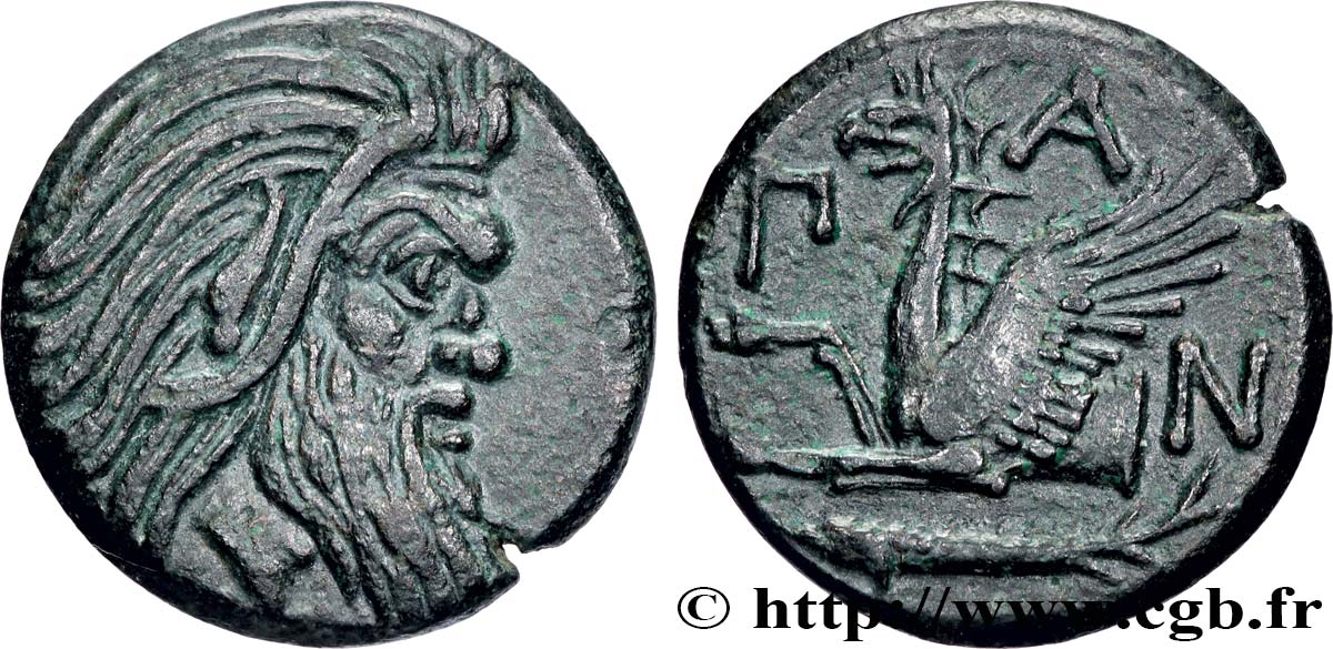CHERSONESE TAURICA - PANTICAEA Unité q.SPL