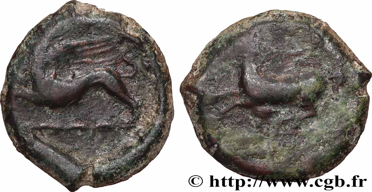 SICILY - ALASEA (KAINON) Hemilitron VF