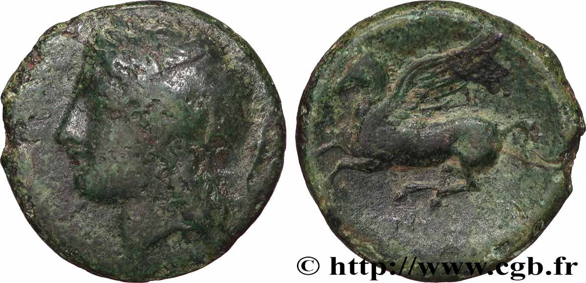 SICILE - SYRACUSE Hemilitron TB+
