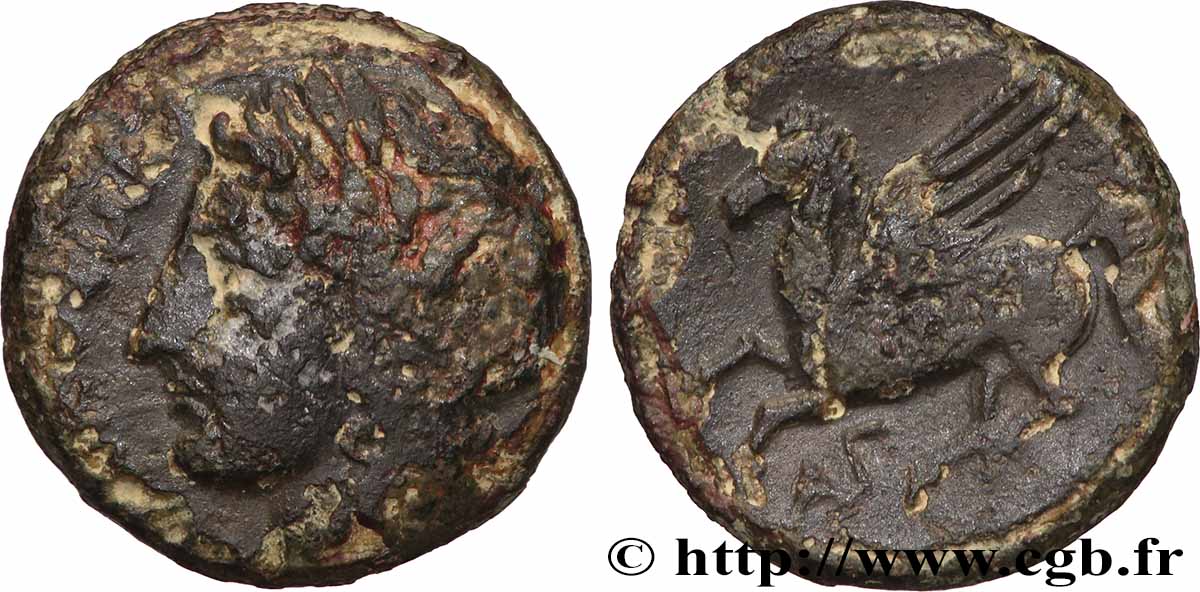 SICILE - SYRACUSE Hemilitron TB+