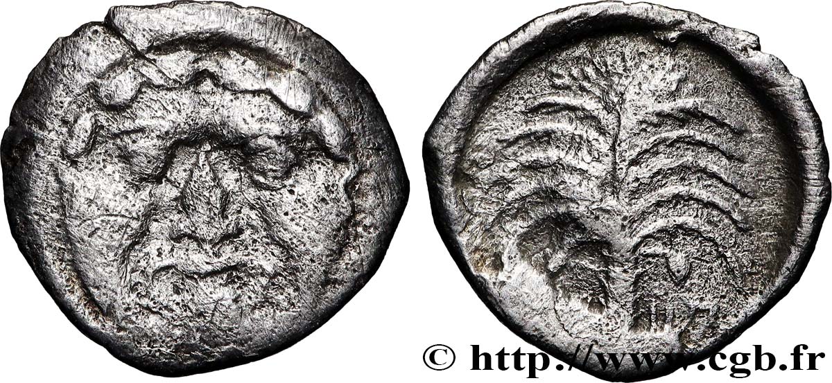 SICILE - MOTYA Hemilitron TB+