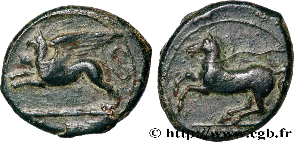 SICILE - ALAISA (KAINON) Hemilitron TTB