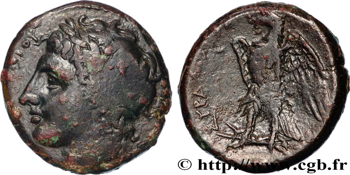 SICILE - SYRACUSE Hemilitron TB+