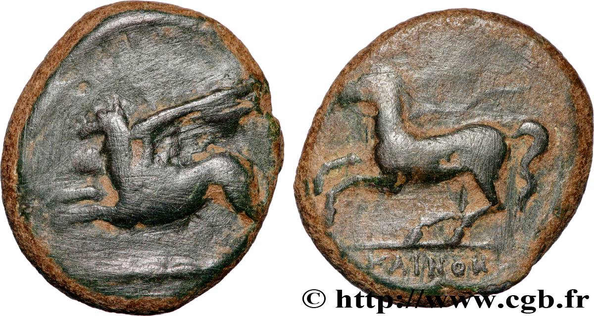 SICILE - ALAISA (KAINON) Hemilitron TB+