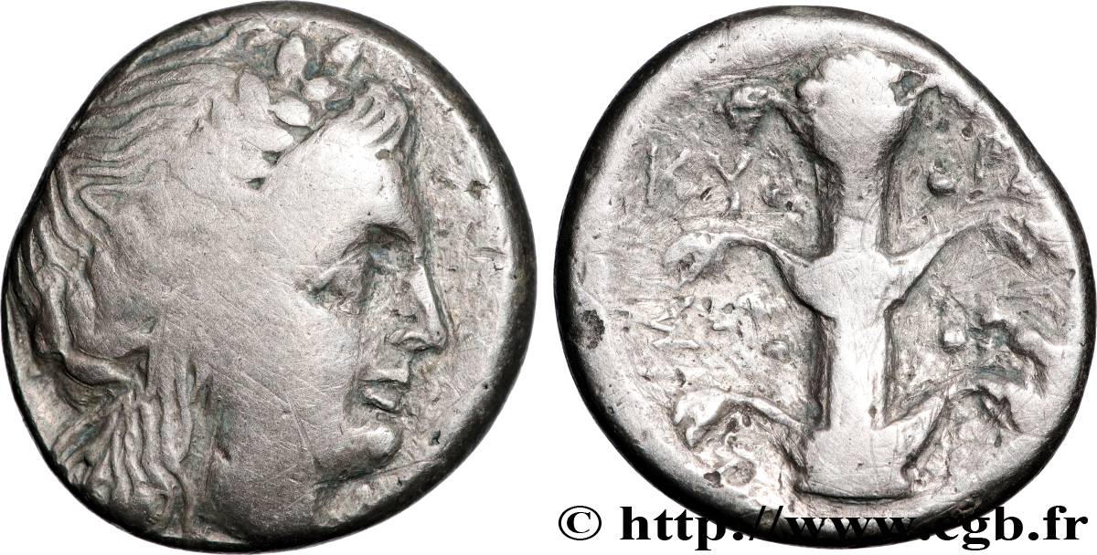 CIRENAICA - CIRENE Statère ou didrachme BC+