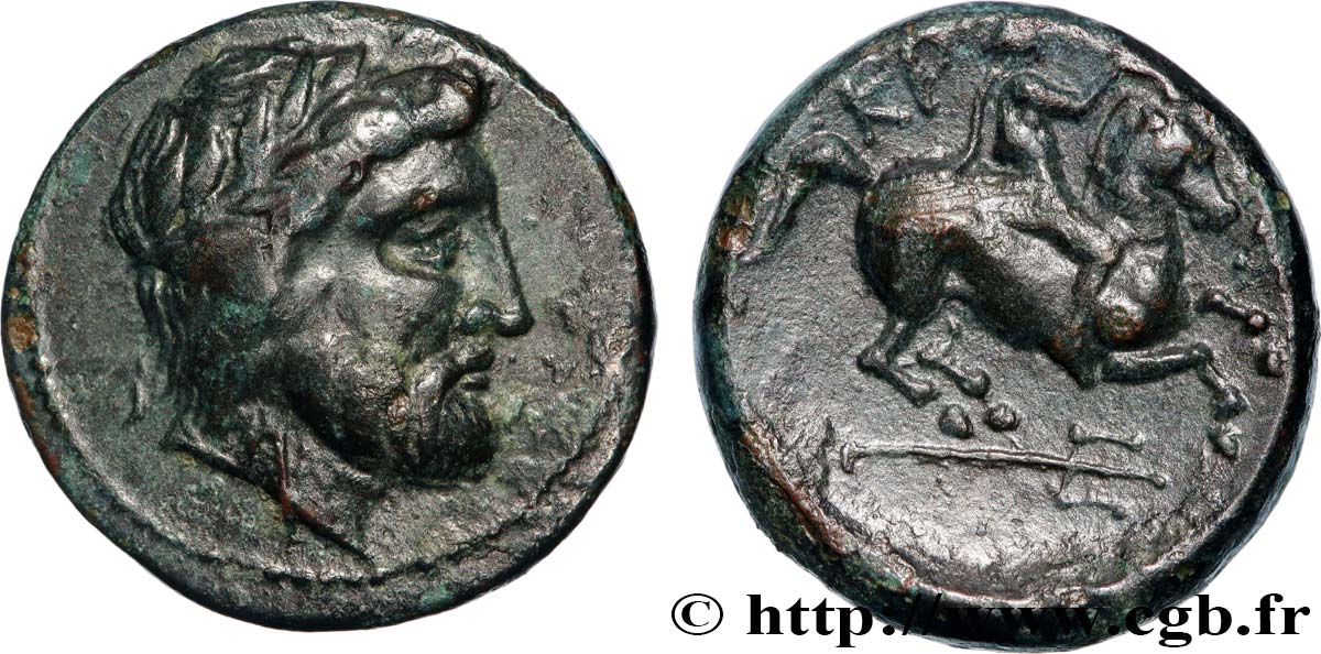TESALIA - CRANNON Dichalque MBC