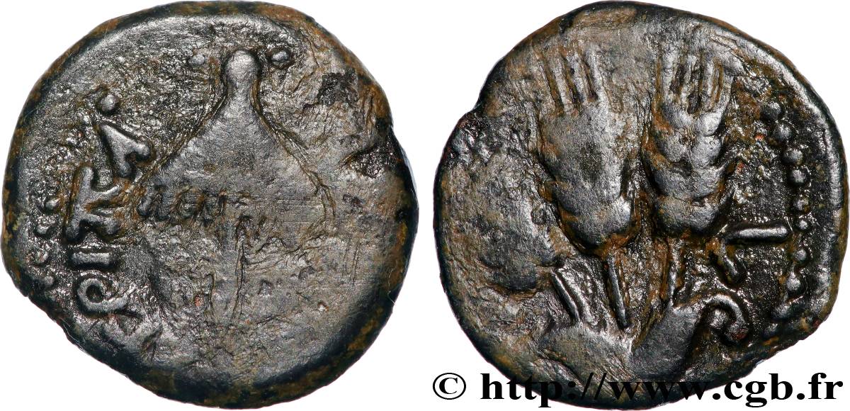 GIUDAE - REGNO DE HERODIUS - AGRIPPA IAgriip Prutah q.BB