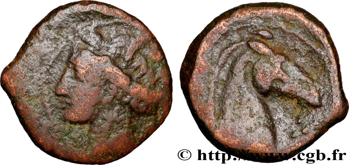 ZEUGITANE - CARTHAGE Shekel TB+