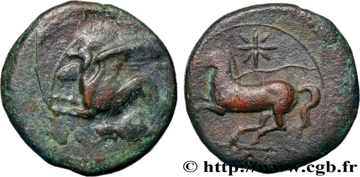 SICILE - ALAISA (KAINON) Hemilitron TB+/TTB