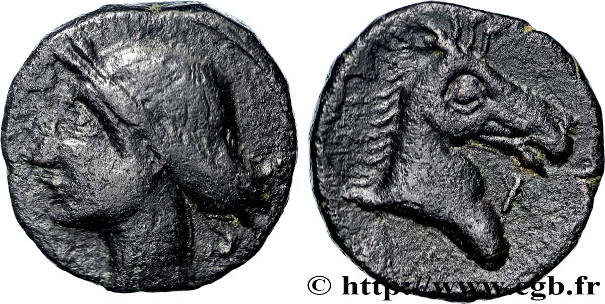 ZEUGITANE - CARTHAGE Double shekel TTB