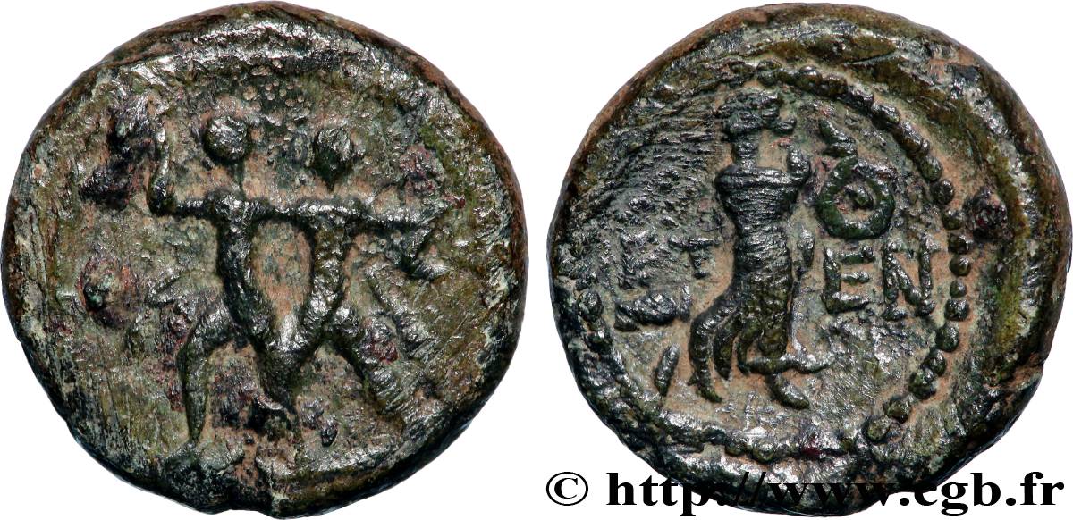 PISIDIA - ETENNA Unité XF