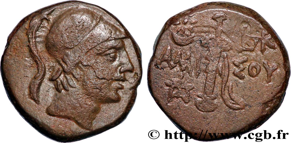 PONTUS - AMISOS Unité SS