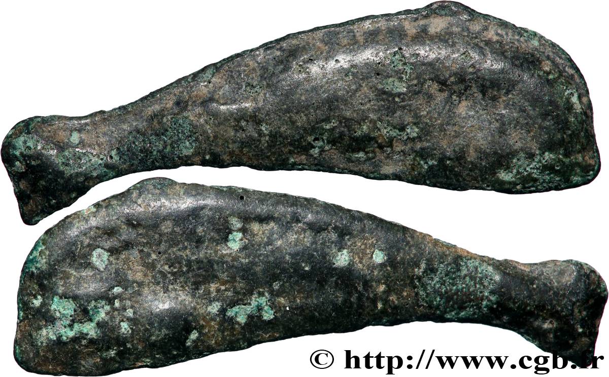 SARMATIE - OLBIA Dauphin TB+