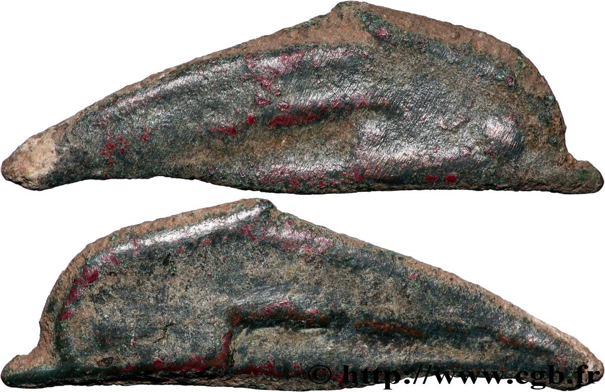 SARMATIE - OLBIA Dauphin TB+