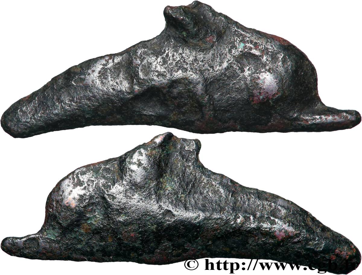 SARMATIE - OLBIA Dauphin TB+