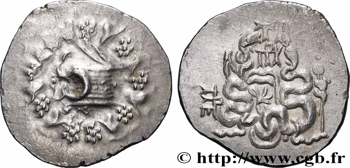 MYSIEN - PERGAMON Cistophore SS